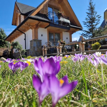 Apartamenty Benita Zakopane Buitenkant foto